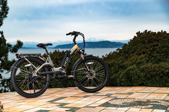 E-Scooter - E-Bike - Quadracycle - Bikes - Kick Scooter - User Feedback and Ratings