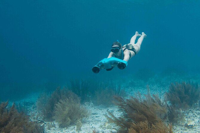 E-Snorkeling tour in Bonaire with easy Sea Scooters - Personalization and Flexibility