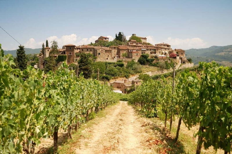 E-Vespa Tour in the Chianti and Pic Nic Lunch - FAQs