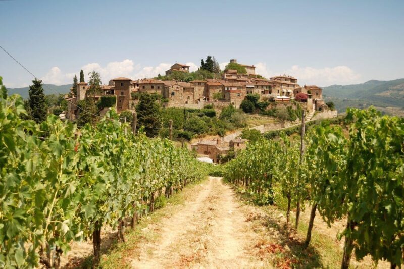 E-Vespa Tour in the Chianti and Pic Nic Lunch - Who Should Consider This Tour?