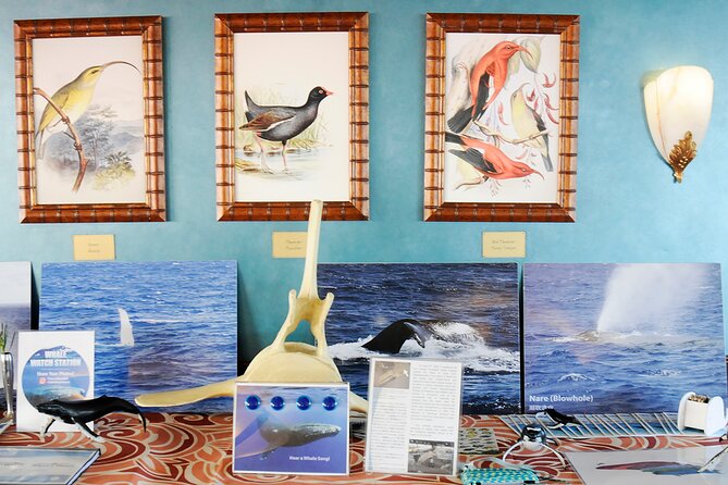 Early Bird Whale Watching Cruise From Waikiki - Accessibility Features