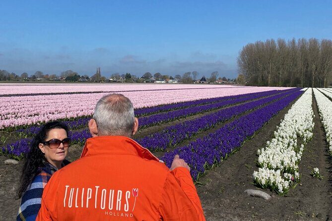 Early Flower fields with Lunch & Windmill Guided Day Tour - An In-Depth Look at the Tour Experience