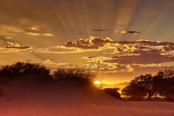 Early Morning Desert Safari With Camel Trekking Experience - Good To Know