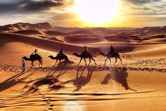 Early Morning Desert Safari With Camel Trekking Experience - Safety Measures in Place
