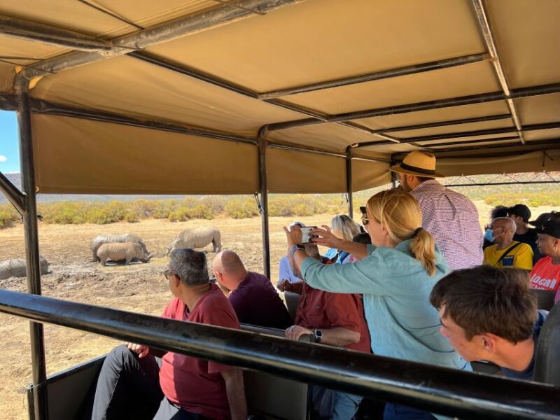 Early Morning Safari Big Five Experience Near Cape Town, SA - Wildlife Searching With Rangers