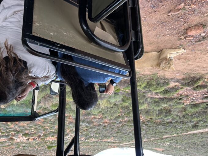 Early Morning Safari Big Five Experience Near Cape Town, SA - Dietary Accommodations