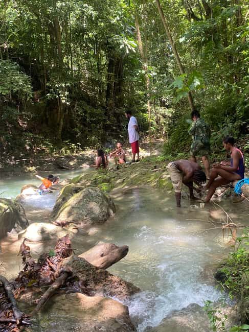 Earth Family Farms: Collier Gully Holistic River Nature Hike - Key Points