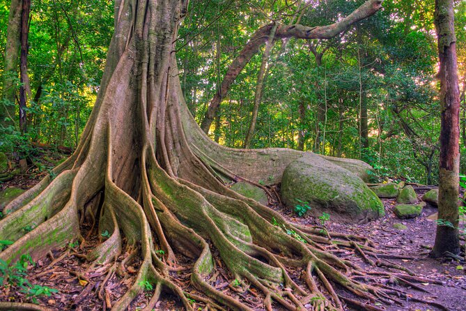 Earth Wonders From Guanacaste - Volcanic Mud Marvels