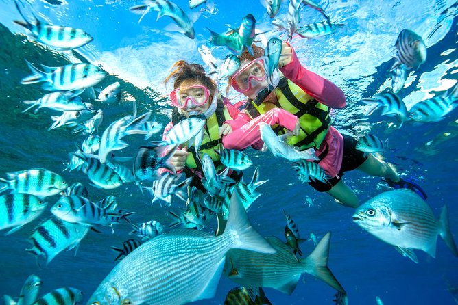 Easily Set Sail by Boat! / Blue Cave Snorkel - Booking Your Adventure