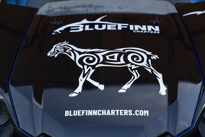 East ATV Tour in Curacao - Key Points