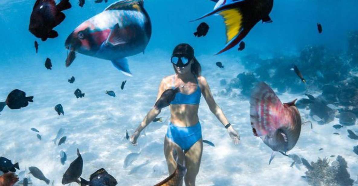 East Bali : Blue Lagoon Snorkeling - All Inclusive - Key Points
