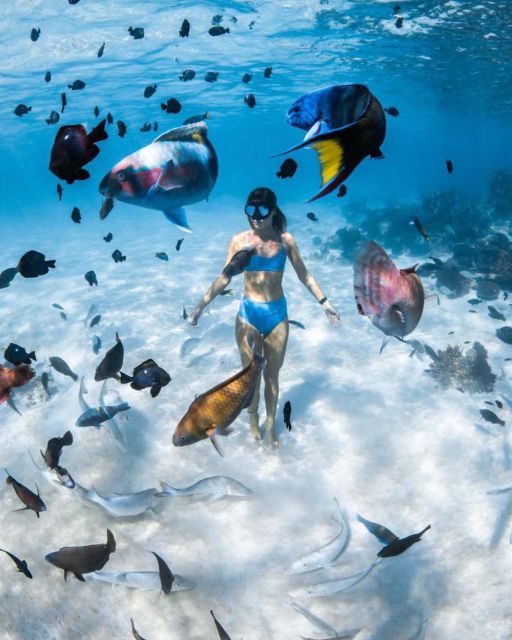 East Bali : Blue Lagoon Snorkeling - All Inclusive - Pricing and Booking