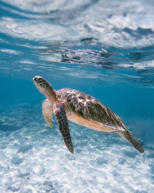 East Bali : Blue Lagoon Snorkeling - All Inclusive - Important Information