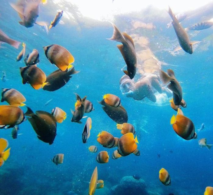 East Bali : Blue Lagoon Snorkeling - All Inclusive - Frequently Asked Questions
