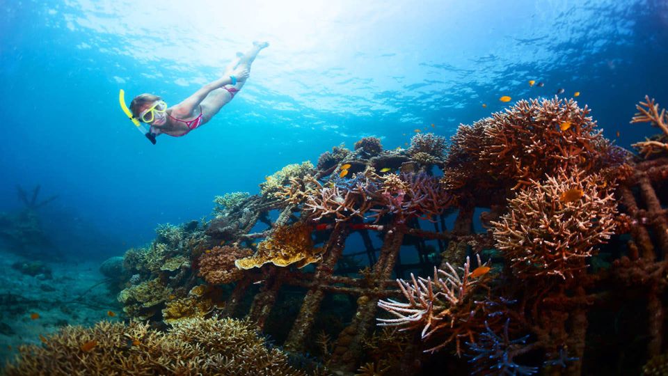 East Bali: Snorkeling, Canyoning, and Waterfall Day Trip - Snorkeling at Tanjung Jepun and Blue Lagoon