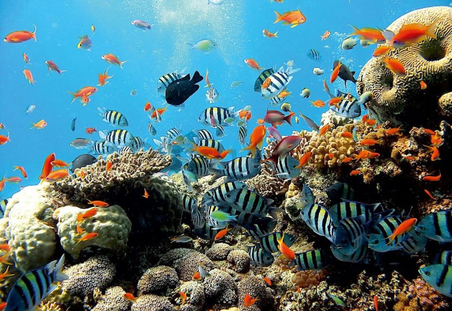 East Bali: Snorkeling, Canyoning, and Waterfall Day Trip - Exploring Beji Guwang Hidden Canyon