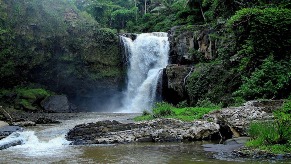 East Bali: Snorkeling, Canyoning, and Waterfall Day Trip - Included Activities and Amenities