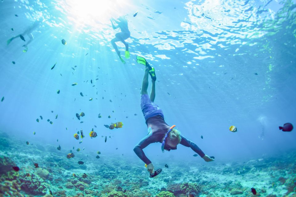 East Bali: Snorkeling Day Trip to Amed - Included in the Tour