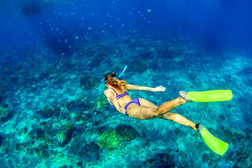 East Bali: Snorkeling Day Trip to Amed - Important Considerations