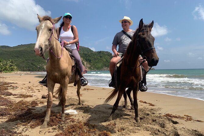 East Coast Horseback Riding, Waterfall & Soufriere Private Tour - Why This Tour Matters