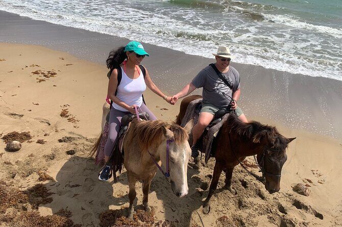 East Coast Horseback Riding, Waterfall & Soufriere Private Tour - Who Will Love This Experience?
