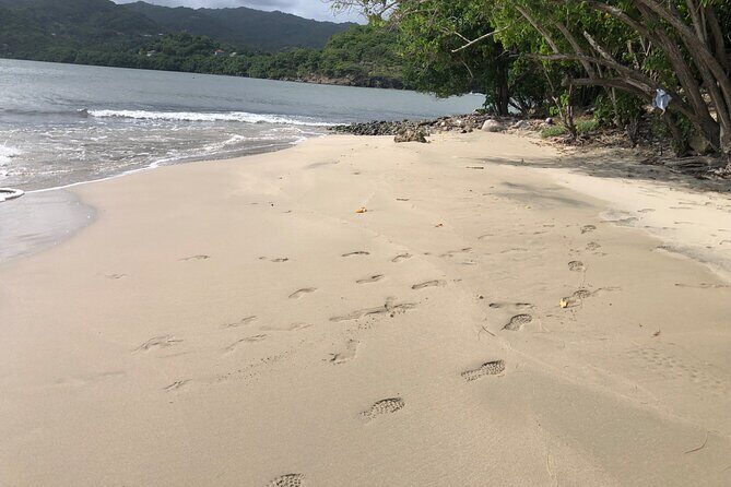 East Coast Private Island Day Trip Kayak & Picnic Experience - An Introduction to the Experience