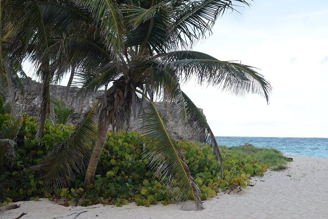 East Coast Private Tour of Barbados - The Experience: What Travelers Are Saying