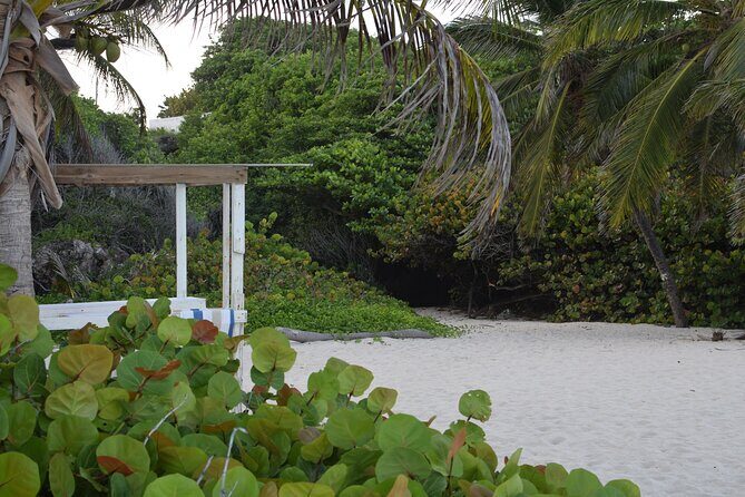 East Coast Private Tour of Barbados - Transportation, Duration, and Flexibility