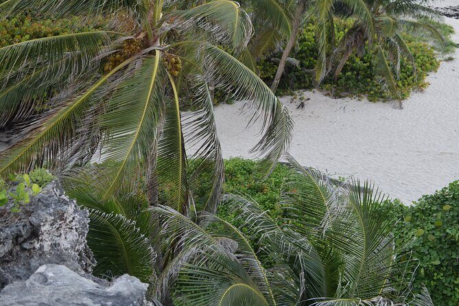 East Coast Private Tour of Barbados - Pricing and Value