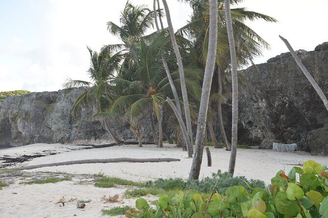 East Coast Private Tour of Barbados - Who Will Love This Tour?