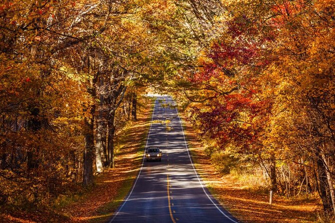 East Coast USA: Self-Guided Driving & Walking Tour Bundle - Ease of Use and Accessibility
