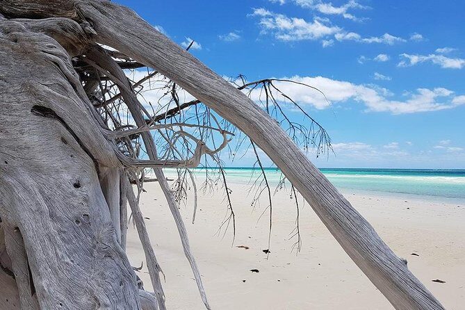 East End Private Day Trip Experience Tour - An In-Depth Look at the East End Private Day Trip