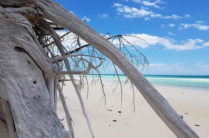 East End Private Day Trip Experience Tour - Who’s It Best For?