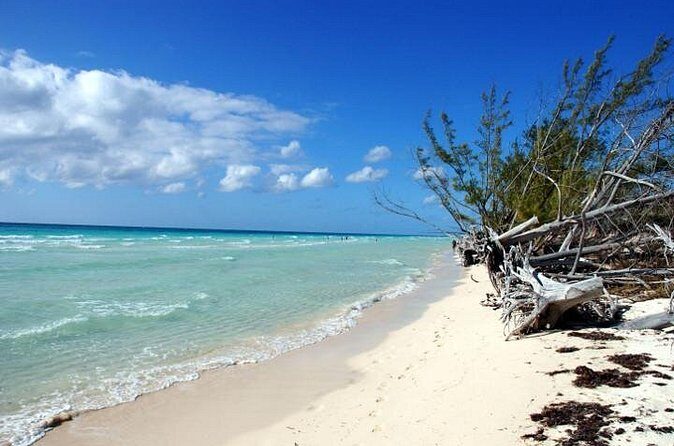 East End Private Day Trip Experience Tour - Frequently Asked Questions