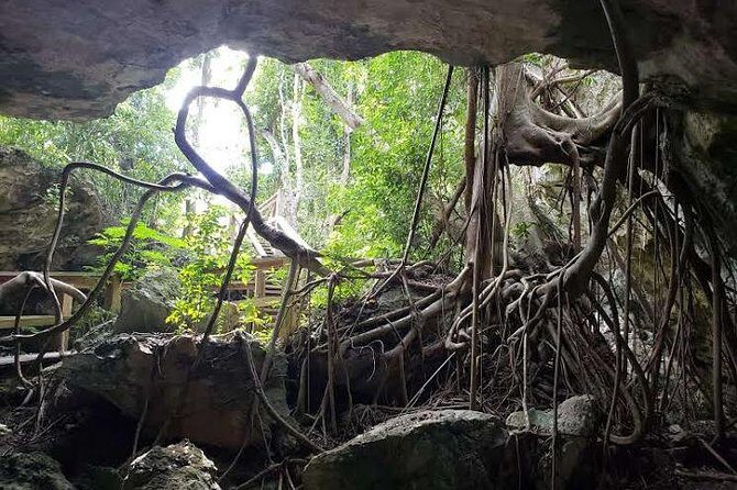 East End Private Day Trip Experience Tour - Final Thoughts