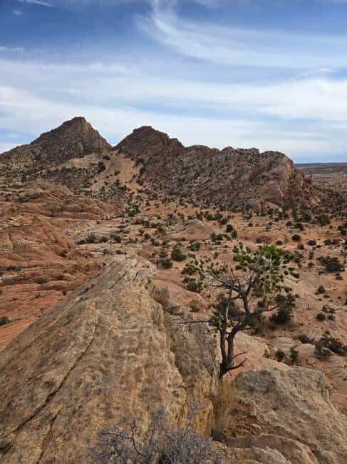 East Grand Canyon: Off-Road Tour With Picnic At The Rim - The Picnic at the Canyon Rim