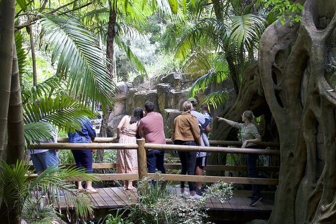 East Honiara Historic World War II Battlefields Tour - Who Will Love This Tour?