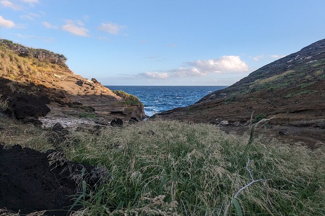East Honolulu and Windward Island Specialty Tour - What to Expect