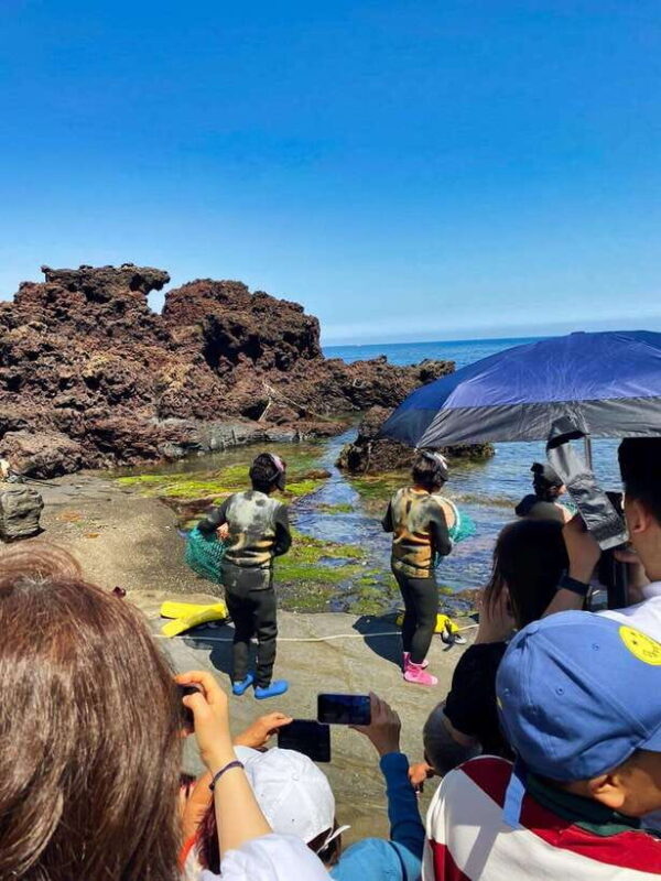 EAST JEJU: All Inclusive Private Tour w/ Taekwondo Show - The Value of the Experience