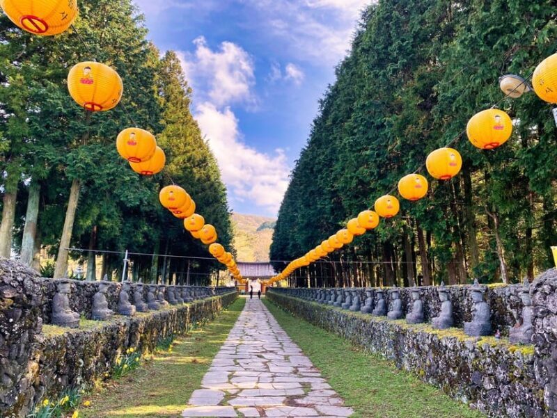 EAST JEJU: All Inclusive Private Tour w/ Taekwondo Show - Who Will Love This Tour?