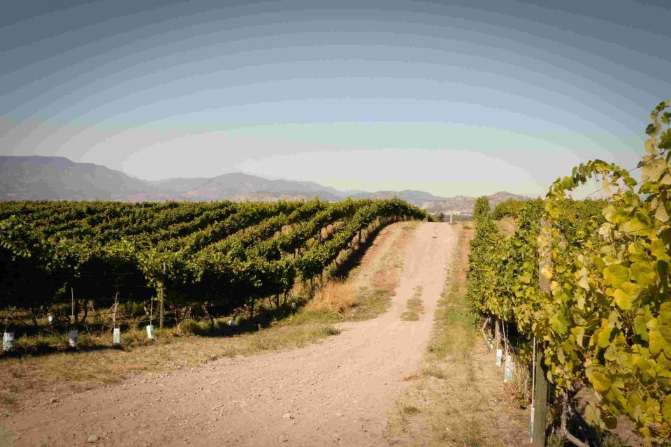 East Kelowna Wineries Tour - Important Information