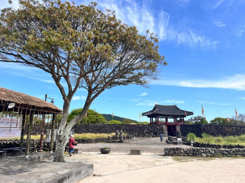 East of Jeju Island Bus Tour From Seogwipo City, Jeju Island - Seongsan Ilchulbong (Sunrise Peak)