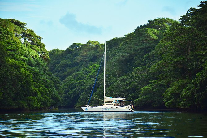 EAST Shared Cruise : OCÉANE Full Day Catamaran to Ile Aux Cerfs - Included Lunch and Beverages