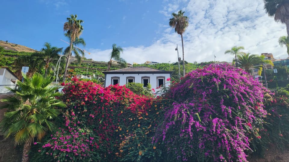East Side of Madeira  Elegant Alternative to 4x4 Adventures - Authenticity and Reviews