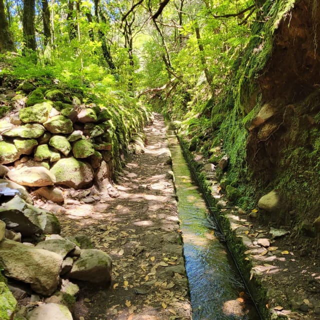 East Side of Madeira  Elegant Alternative to 4x4 Adventures - Final Thoughts