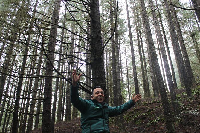 East Tour - 4x4 - Small Group - Introduction: Why This Tour Stands Out