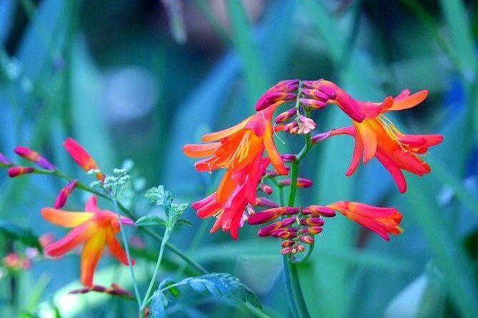 East Tour - 4x4 - Small Group - Transportation and Duration