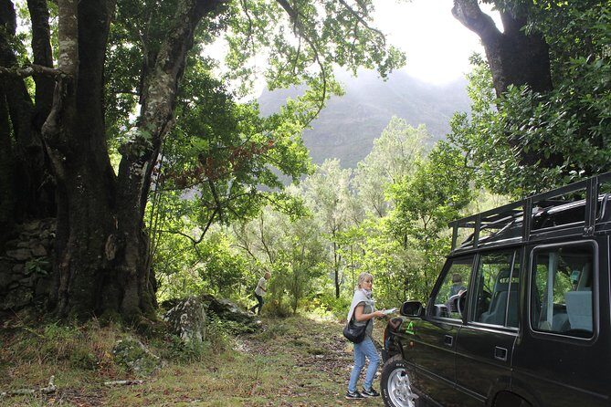 East Tour - 4x4 - Small Group - Price and Value