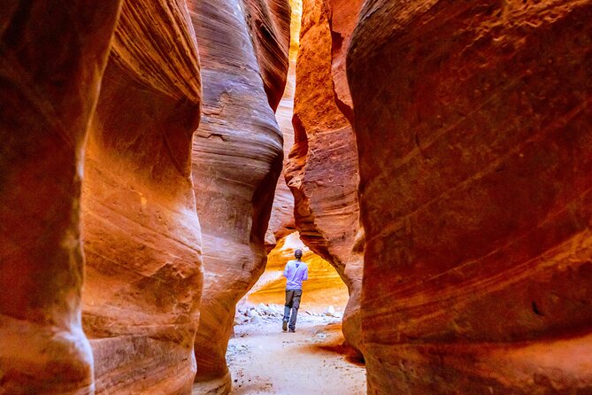 East Zion Crimson Canyon Hike & UTV Adventure - Booking Information and Pricing