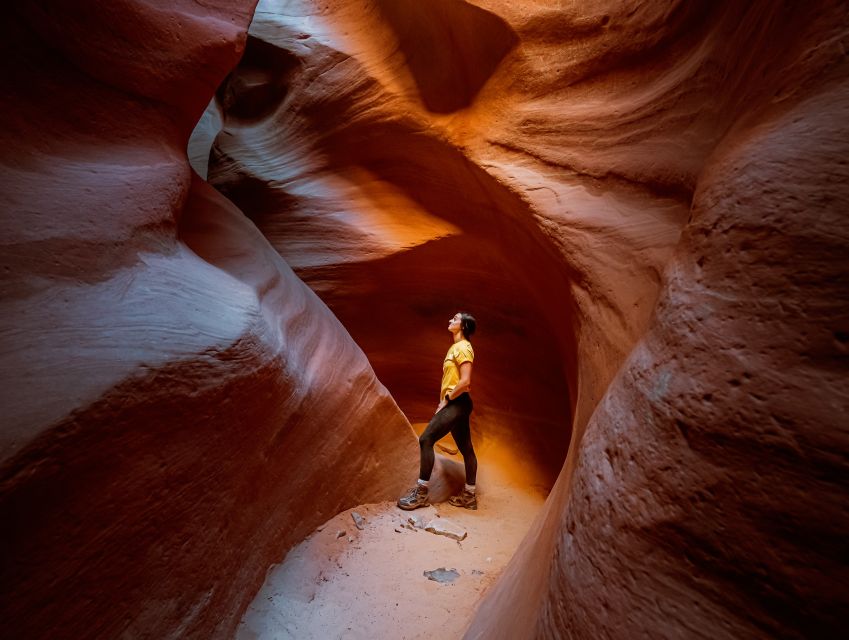 East Zion: Crimson Slot Canyon Exploration and UTV Tour - Slot Canyon Hike